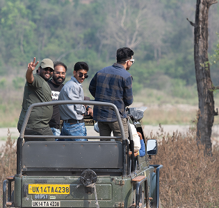 Jungle Safaris